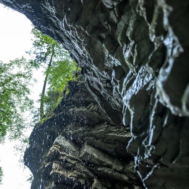 Eine steinige Klippe mit Wasser, das von oben herab tropft. Darüber wachsen grüne Bäume im Hintergrund. | © Breitachklammverein eG | Dominik Berchtold
