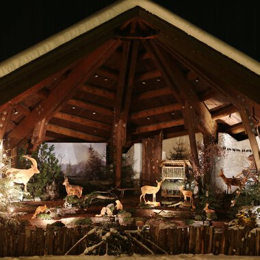 © Kleinwalsertal Tourismus | Frank Drechsel A festive setting with a wooden structure and illuminated animals. In the background, Christmas trees and a winter landscape can be seen. | © Kleinwalsertal Tourismus | Frank Drechsel