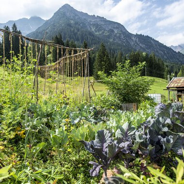A lush garden with various plants and vegetables, surrounded by mountains. The sky is clear and the natural setting is green and inviting. | © Kleinwalsertal Tourismus | Dominik Berchtold