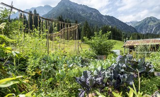 © Kleinwalsertal Tourismus | Dominik Berchtold
