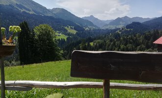 © Alpe Hinterenge1 | Nicole Lughammer