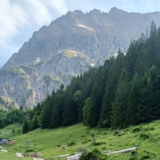 Eine malerische Alm mit saftigem Grün und dichten Wäldern im Vordergrund. Im Hintergrund erheben sich beeindruckende Berge unter einem leicht bewölkten Himmel. | © Bernhards Gemstelalp | Bernhard Heim
