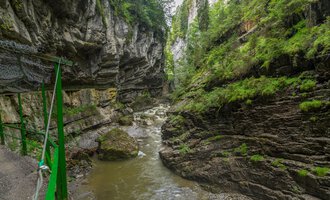 Eine beeindruckende Schlucht mit steilen Felswänden und einem fließenden Wasserlauf. Üppiges Grün umgibt den Fluss und schafft eine ruhige Atmosphäre. | © Kleinwalsertal Tourismus |  Steffen Berschin