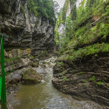 Eine beeindruckende Schlucht mit steilen Felswänden und einem fließenden Wasserlauf. Üppiges Grün umgibt den Fluss und schafft eine ruhige Atmosphäre. | © Kleinwalsertal Tourismus |  Steffen Berschin