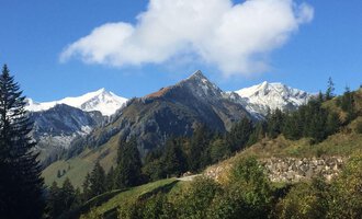 © Gasthof Café Alpenwald | Thorsten Alpenwald