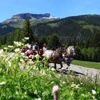 A carriage ride through a picturesque landscape with mountains in the background. Green meadows and blooming flowers line the road. | © Kleinwalsertal Tourismus