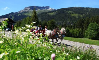 A carriage ride through a picturesque landscape with mountains in the background. Green meadows and blooming flowers line the road. | © Kleinwalsertal Tourismus