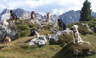 © S&H Hundewelt Wandertouren GmbH