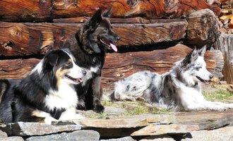 © S&H Hundewelt Wandertouren GmbH