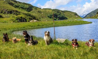 © S&H Hundewelt Wandertouren GmbH