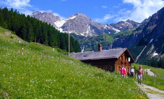 A picturesque mountain cottage nestled in the midst of a green meadow. In the background, majestic mountains rise under a blue sky. | © Innere Wiesalpe | Andrea Kainz zuckerschnecke.at