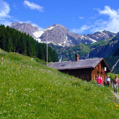 A picturesque mountain cottage nestled in the midst of a green meadow. In the background, majestic mountains rise under a blue sky. | © Innere Wiesalpe | Andrea Kainz zuckerschnecke.at