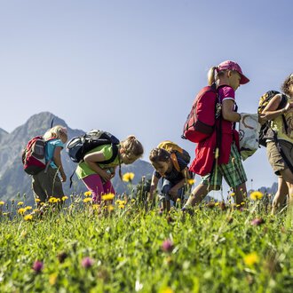 Eine Gruppe von Kindern erkundet eine blühende Wiese in den Bergen. Sie sammeln Blumen und genießen die Natur an einem sonnigen Tag. | © Kleinwalsertal Tourismus | Oliver Farys