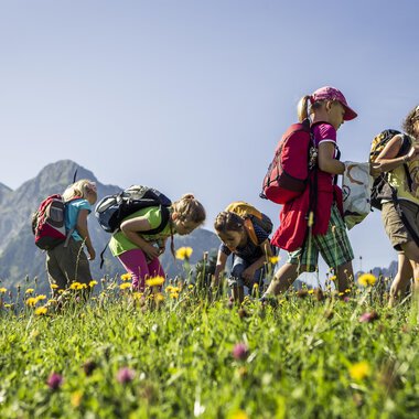 A group of children explores a blooming meadow in the mountains. They collect flowers and enjoy nature on a sunny day. | © Kleinwalsertal Tourismus | Oliver Farys
