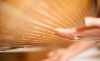A hand is playing a zither with fine strings. The background is blurred and warm in color. | © Bio-Hotel Oswalda Hus | Joachim Weiler