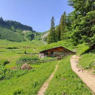 Eine malerische Berghütte umgeben von grünen Wiesen und Bäumen. Ein schmaler Weg führt durch die Landschaft. | © Kleinwalsertal Tourismus | Steffen Stöhr
