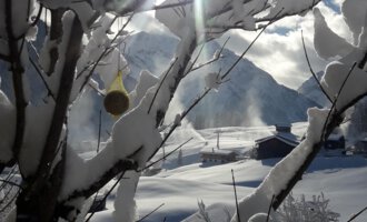 A winter landscape with snow-covered branches and radiant sunshine. In the background, snow-covered mountains are visible.