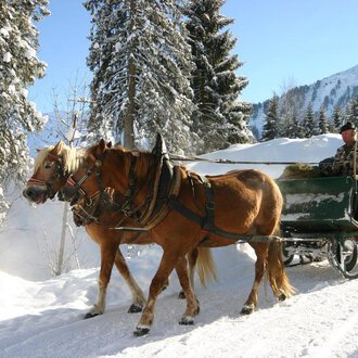 Eine Pferdeschlittenfahrt durch eine verschneite Winterlandschaft. Bäume und Berge sind im Hintergrund sichtbar. | © Otto Berwanger