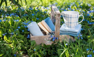 © Rohn - Kinder, Trends und mehr | Solwang