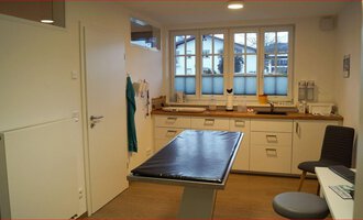 A bright room with an examination table and large windows. The walls are light, and there are some medical utensils on the work surface. | © Tierarztpraxis Oberstdorf | Regina Baumgartner