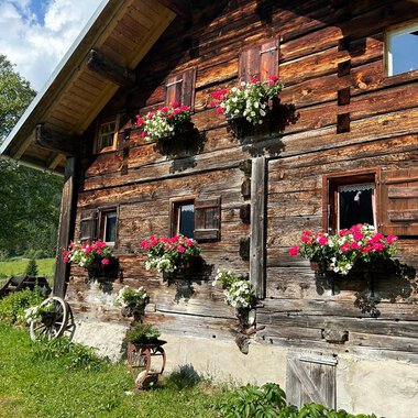 A charming wooden house with blooming plants in front of the windows. The building is surrounded by green meadow and trees. | © Untere Wiesalpe | Jennifer Opitz