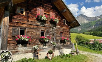 A traditional wooden house with blooming window boxes. In the background, green meadows and mountains can be seen. | © Untere Wiesalpe | Jennifer Opitz