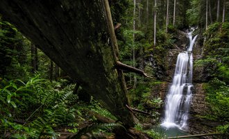 © Kleinwalsertal Tourismus | Dominik Berchtold Ein schöner Wasserfall, der durch einen dichten Wald fließt. Umgeben von grünen Pflanzen und hohen Bäumen. | © Kleinwalsertal Tourismus | Dominik Berchtold