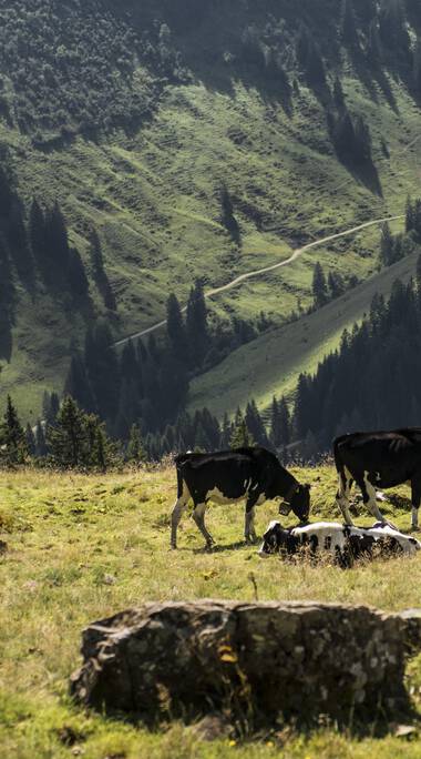 © Kleinwalsertal Tourismus eGen • Photographer: Andre Tappe