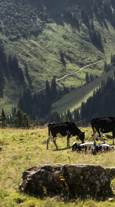 © Kleinwalsertal Tourismus eGen • Fotograf: Andre Tappe