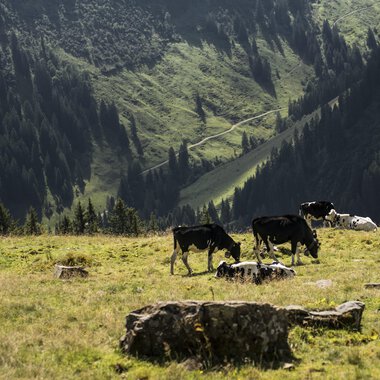 © Kleinwalsertal Tourismus eGen • Fotograf: Andre Tappe