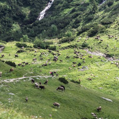 © Kleinwalsertal Tourismus eGen • Fotograf: Andre Tappe