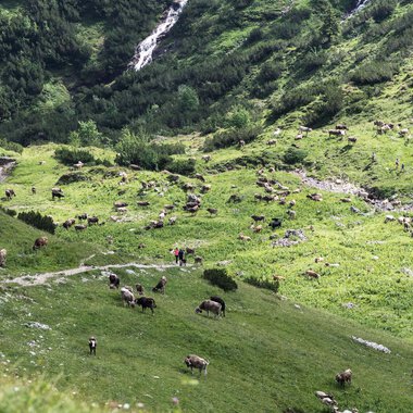 © Kleinwalsertal Tourismus eGen • Fotograf: Andre Tappe