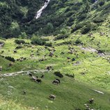 © Kleinwalsertal Tourismus eGen • Photographer: Andre Tappe