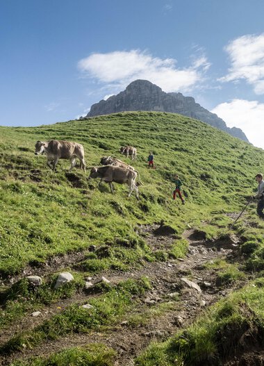 © Kleinwalsertal Tourismus eGen • Fotograf: Andre Tappe