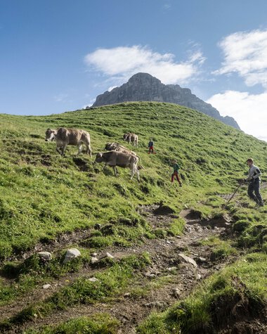 © Kleinwalsertal Tourismus eGen • Fotograf: Andre Tappe