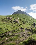 © Kleinwalsertal Tourismus eGen • Fotograf: Andre Tappe