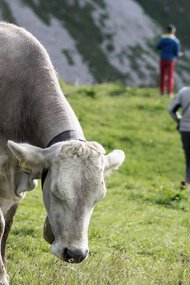 © Kleinwalsertal Tourismus eGen • Fotograf: Andre Tappe