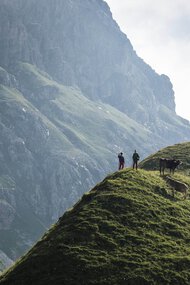 © Kleinwalsertal Tourismus eGen • Fotograf: Andre Tappe
