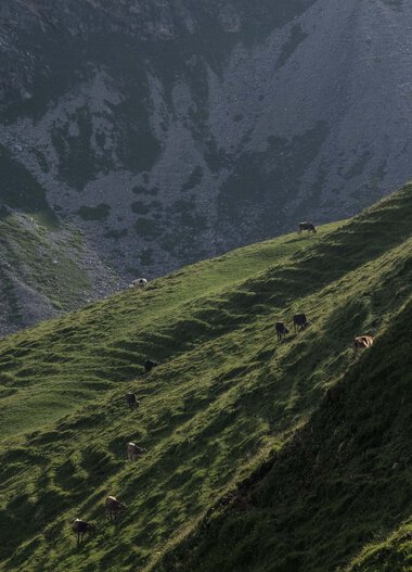© Kleinwalsertal Tourismus eGen • Fotograf: Andre Tappe