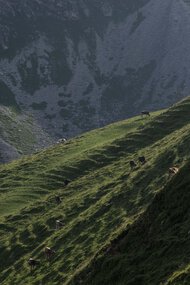 © Kleinwalsertal Tourismus eGen • Photographer: Andre Tappe