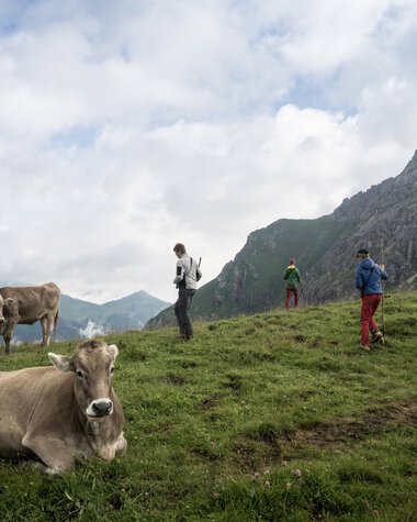 © Kleinwalsertal Tourismus eGen • Fotograf: Andre Tappe