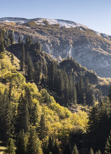 © Kleinwalsertal Tourismus eGen • Fotograf: Bastian Morell