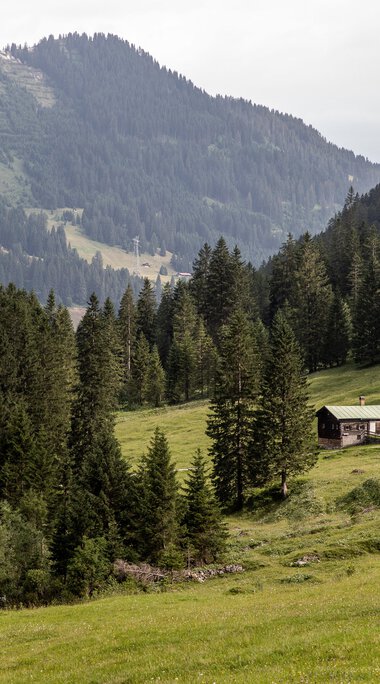 © Kleinwalsertal Tourismus eGen • Fotograf: Bastian Morell