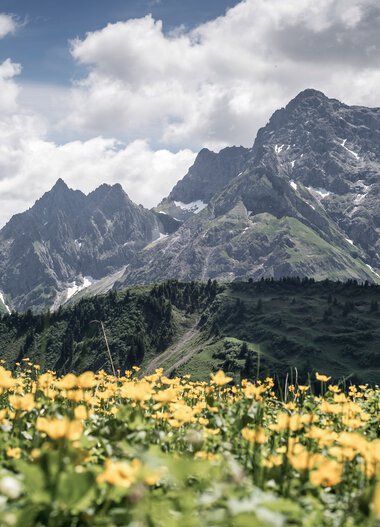 © Kleinwalsertal Tourismus eGen • Fotograf: Dominik Berchtold
