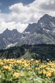 © Kleinwalsertal Tourismus eGen • Photographer: Dominik Berchtold
