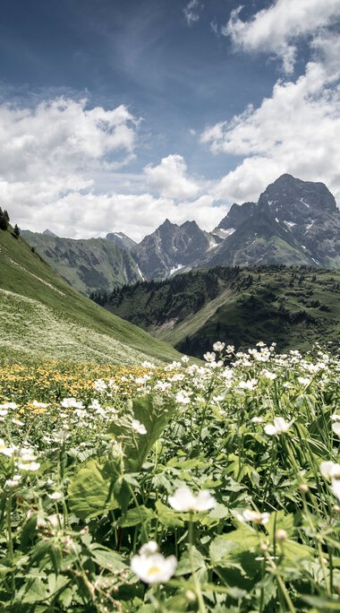 © Kleinwalsertal Tourismus eGen • Fotograf: Dominik Berchtold