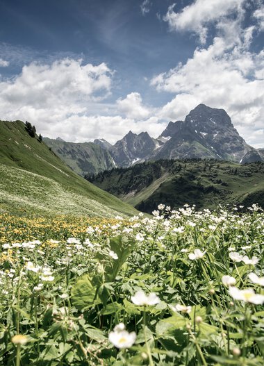 © Kleinwalsertal Tourismus eGen • Fotograf: Dominik Berchtold