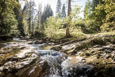 © Kleinwalsertal Tourismus eGen • Fotograf: Dominik Berchtold © Kleinwalsertal Tourismus eGen • Fotograf: Dominik Berchtold