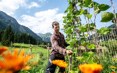 © Kleinwalsertal Tourismus eGen • Fotograf: Dominik Berchtold