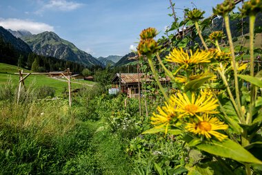 © Kleinwalsertal Tourismus eGen • Fotograf: Dominik Berchtold © Kleinwalsertal Tourismus eGen • Fotograf: Dominik Berchtold